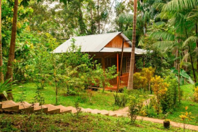 Cabañas Dechi